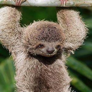 Meet your Posher, Marcy